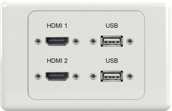 Dual USB Dual HDMI Wall Plate