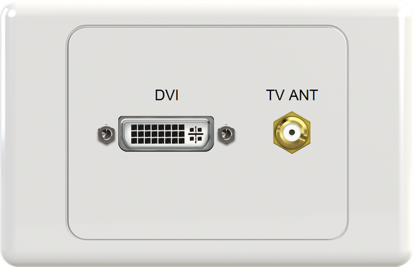 DVI FTYPE Wall Plate