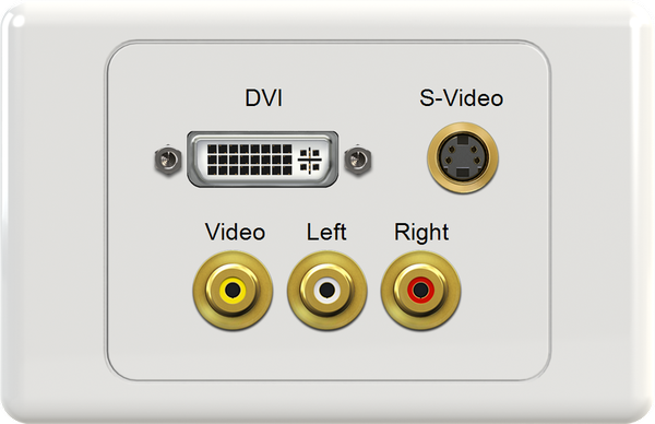 DVI SVIDEO YWR Wall Plate