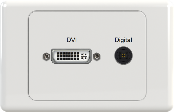 DVI DIG Wall Plate