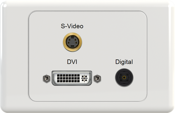 DVI DIG SVIDEO Wall Plate