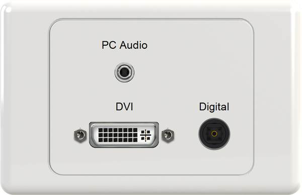 DVI DIG 3.5mm Wall Plate