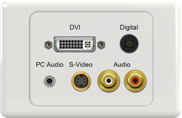 DVI DIG 3.5mm SVIDEO WR Wall Plate