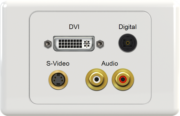 DVI DIG SVIDEO WR Wall Plate