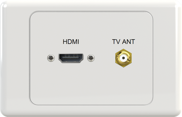 HDMI FTYPE Wall Plate
