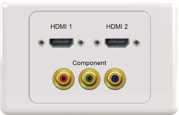 Dual HDMI RGB Wall Plate