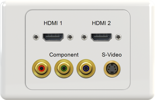 Dual HDMI RGB SVIDEO Wall Plate