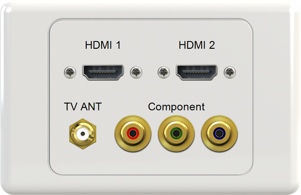 Dual HDMI FTYPE RGB Wall Plate