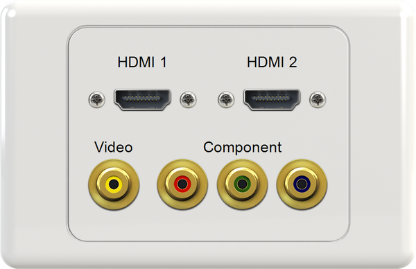Dual HDMI VIDEO RGB Wall Plate