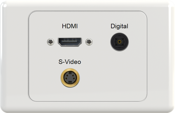 HDMI DIG SVIDEO Wall Plate