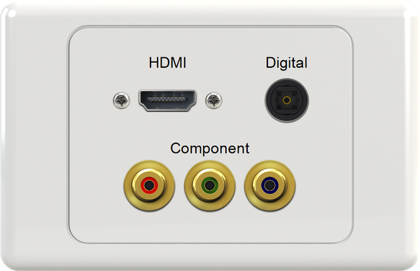 HDMI DIG RGB Wall Plate
