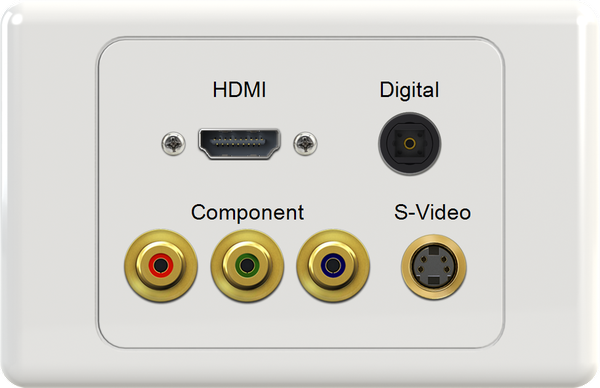 HDMI DIG RGB SVIDEO Wall Plate
