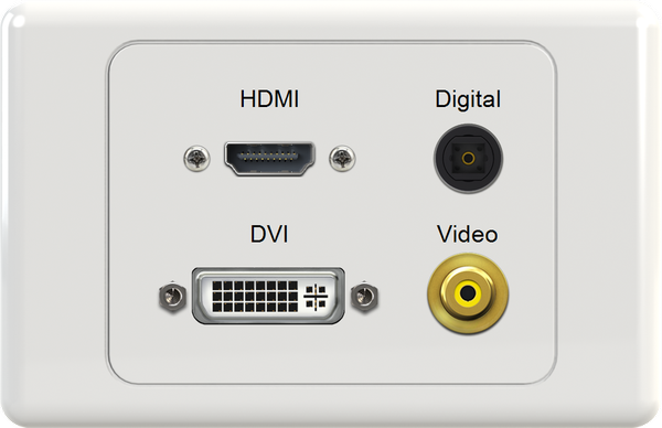 HDMI DIG DVI VIDEO Wall Plate