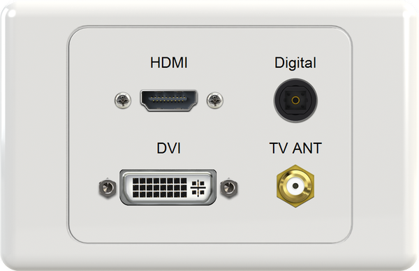 HDMI DIG DVI FTYPE Wall Plate