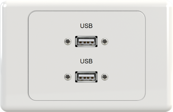 Dual USB Wall Plate