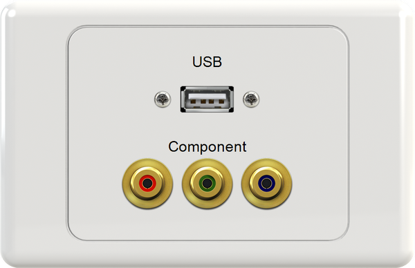 USB RGB Wall Plate
