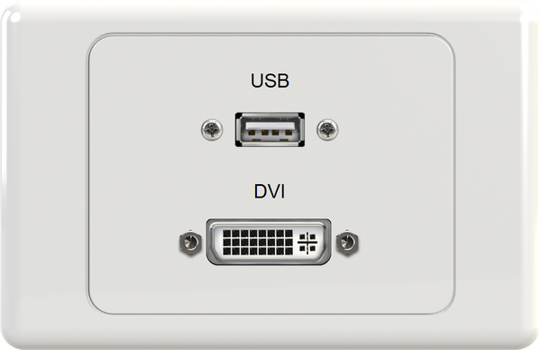 USB DVI Wall Plate