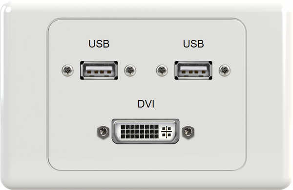 Dual USB DVI Wall Plate