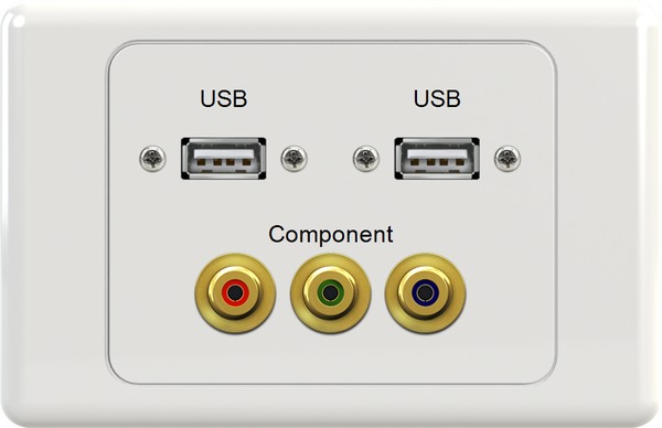 Dual USB RGB Wall Plate