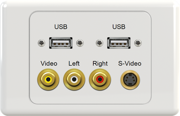 Dual USB YWR SVIDEO Wall Plate