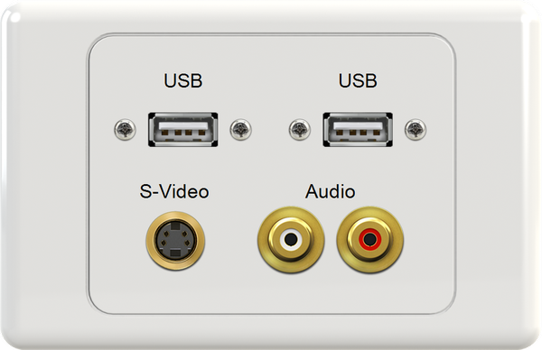 Dual USB SVIDEO WR Wall Plate