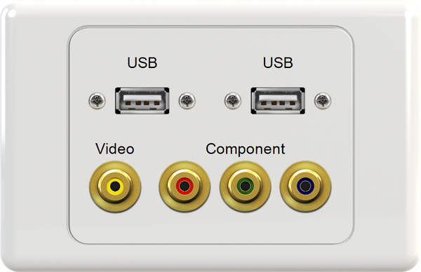 Dual USB VIDEO RGB Wall Plate