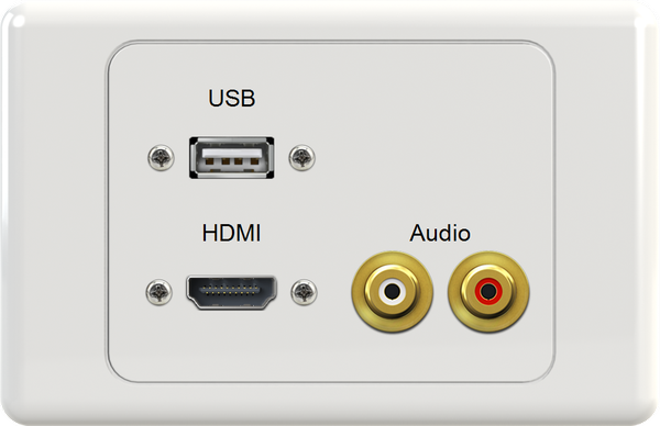 USB HDMI WR Wall Plate