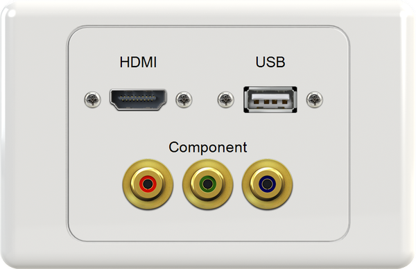 HDMI USB YWR Wall Plate