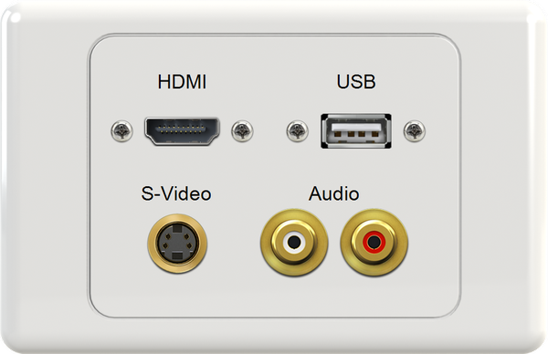 HDMI USB SVIDEO WR Wall Plate