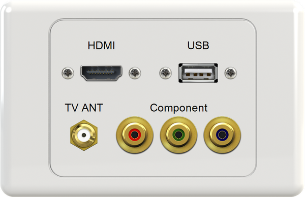 HDMI USB FTYPE RGB Wall Plate