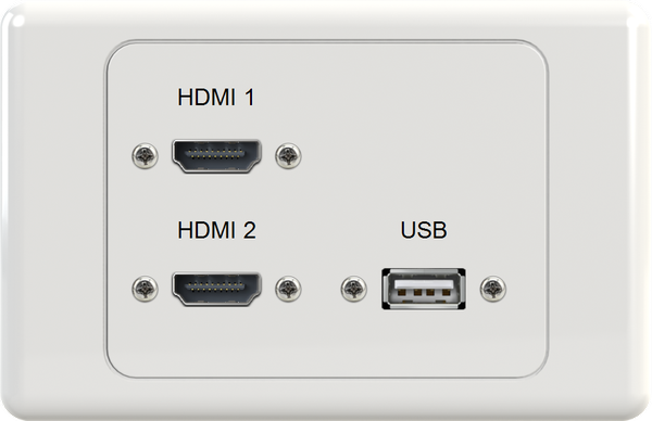 Dual HDMI USB Wall Plate