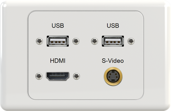 Dual USB HDMI SVIDEO Wall Plate