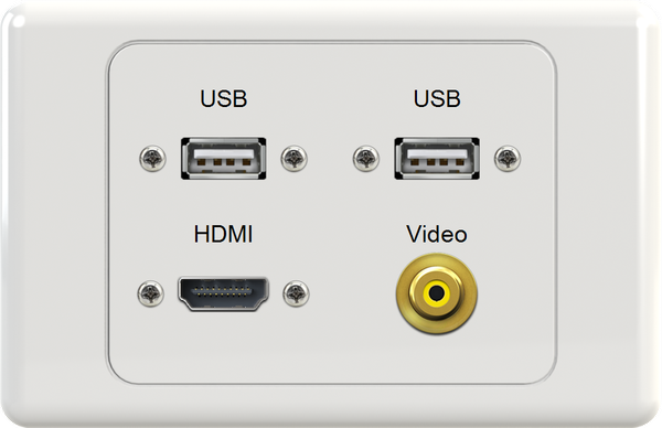 Dual USB HDMI VIDEO Wall Plate