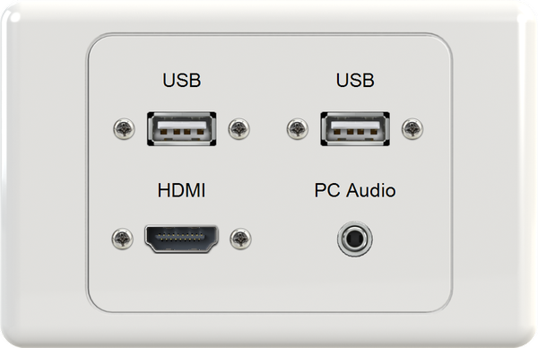 Dual USB HDMI 3.5mm Wall Plate