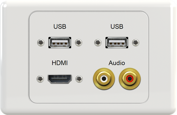 Dual USB HDMI WR Wall Plate