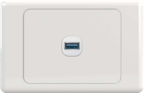 USBG1 Wall Plate