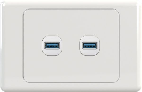 USBG2 USBG2 Wall Plate