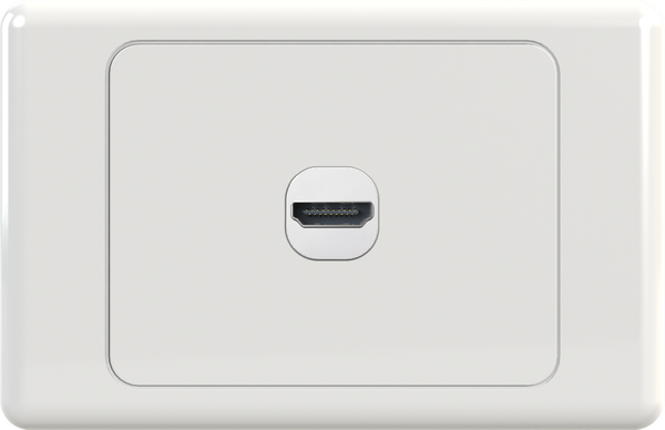 HDMIG1 Wall Plate
