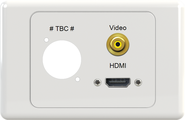 XLR HDMI VIDEO Wall Plate