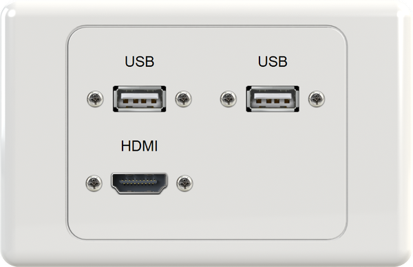 Dual USB HDMI Wall Plate
