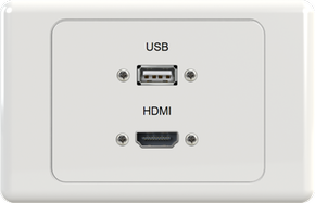 USB HDMI Wall Plate