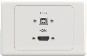 USB HDMI Wall Plate
